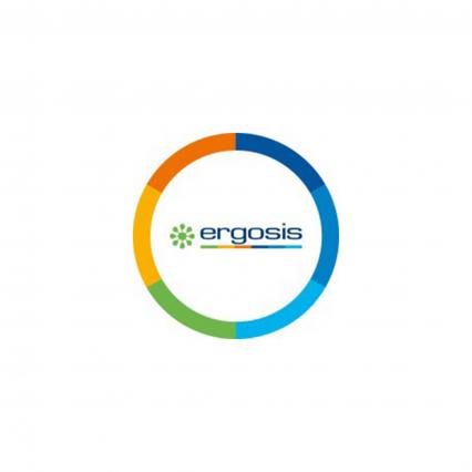 Ergosis